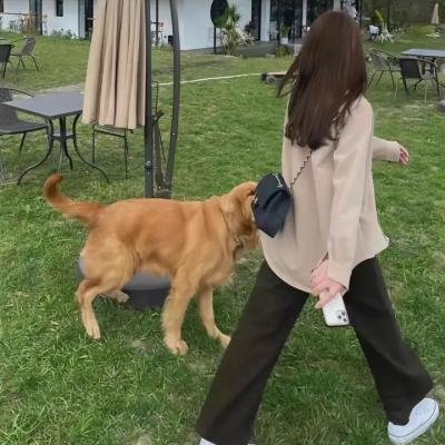 贝礼一家